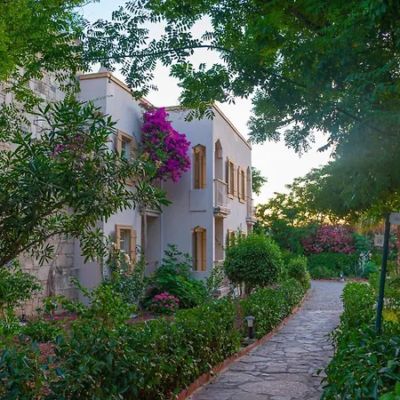 Museum Resort Spa-2